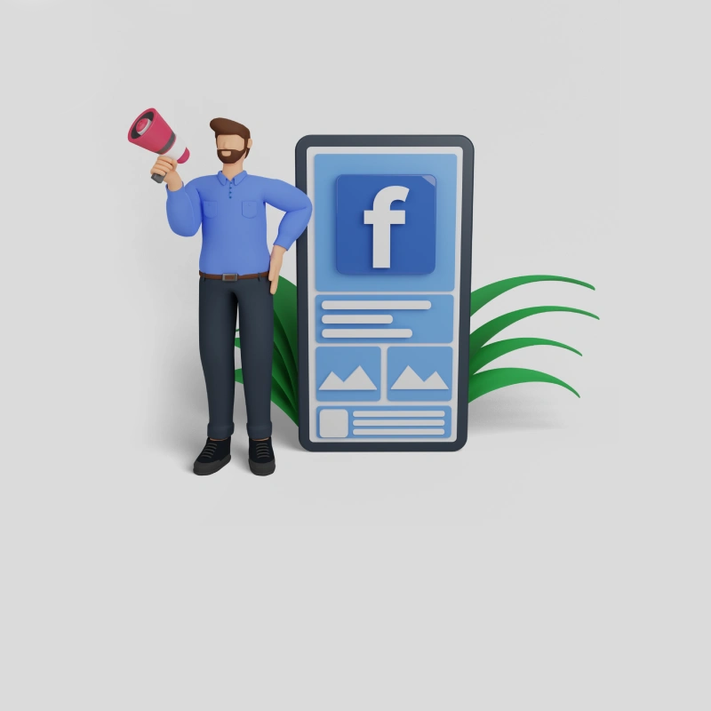 Facebook Ads Expert Delhi
